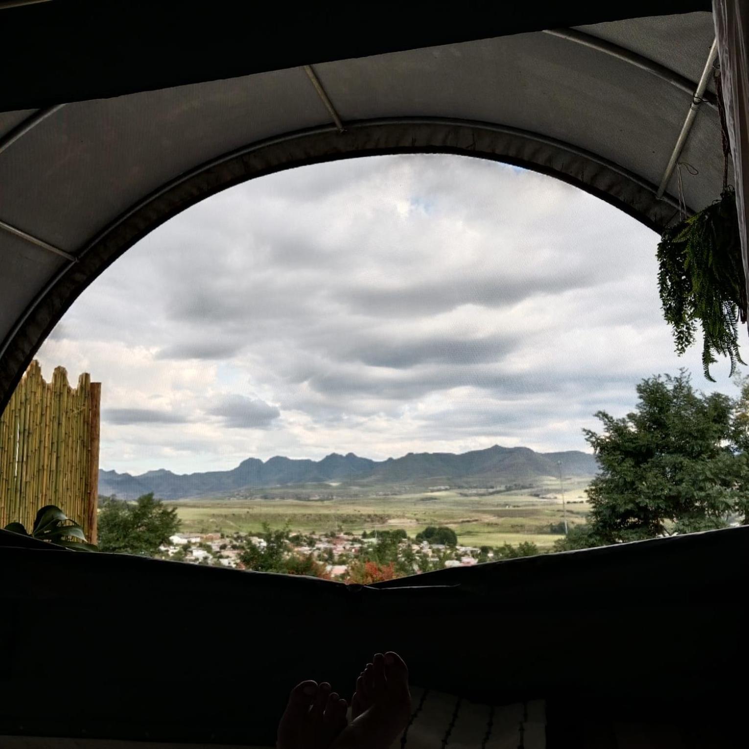 The Jolly Joint * Clarens